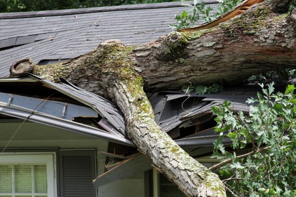 Storm Remediation in Montgomery