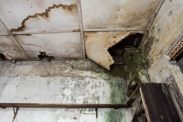 Water Damage Service in Montgomery