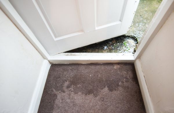 Cost of Wet Carpet Restoration in Montgomery