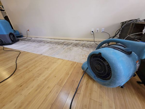 Water Damage Mitigation in Montgomery