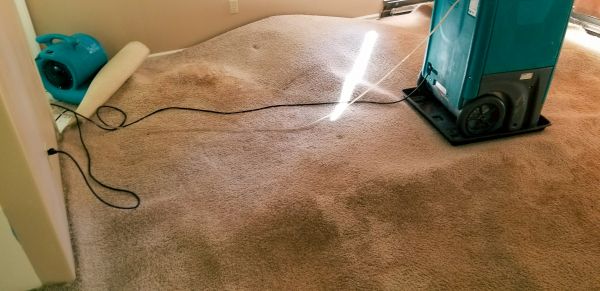 Cost of Flood Damage Cleanup in Montgomery