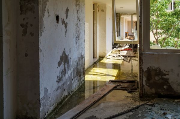 Cost of Water Removal Service in Montgomery