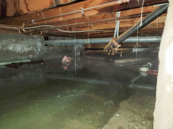 Water Mitigation Service in Montgomery