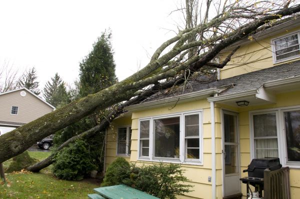 Hurricane Damage Repair in Montgomery